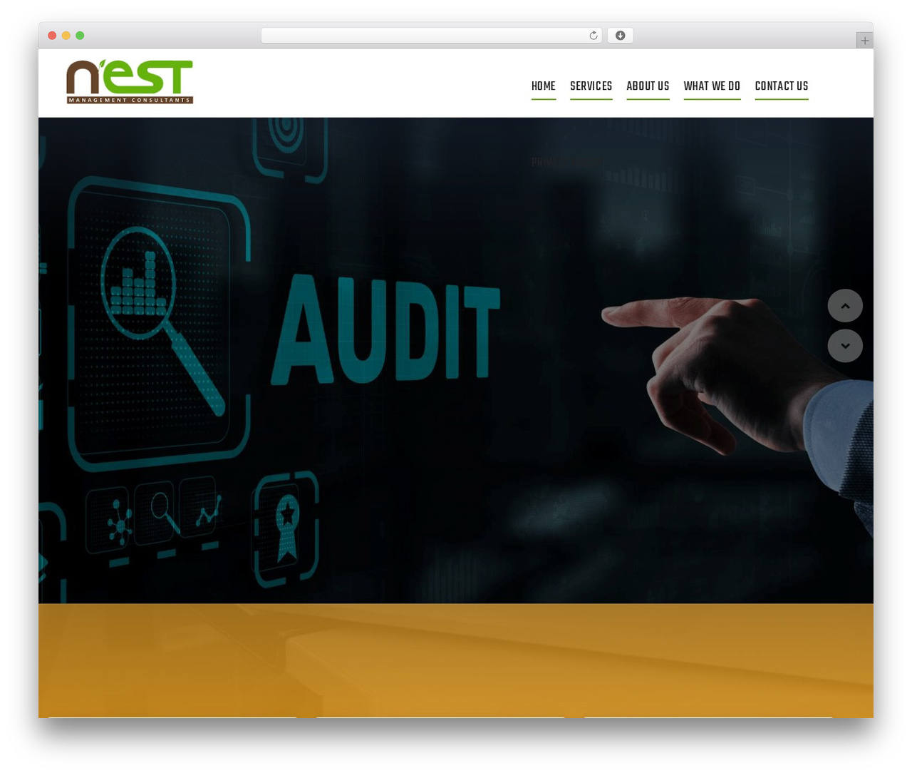 Linoor Child theme WordPress theme - nestmcin.com