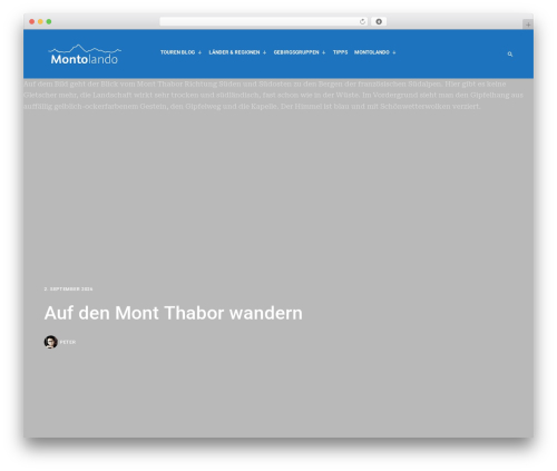 Schematic WordPress theme - montolando.com