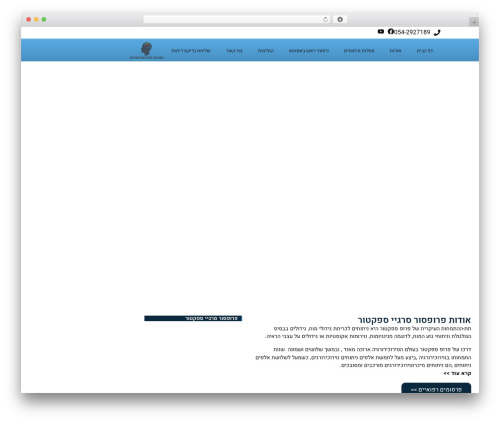 A11y WordPress plugin - sergey-spektor.com