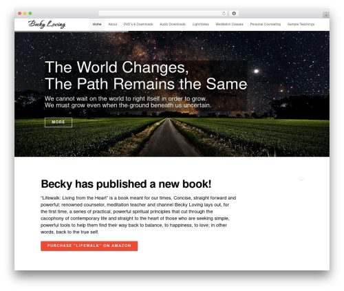 Dms plugin pro WordPress plugin - beckyloving.com