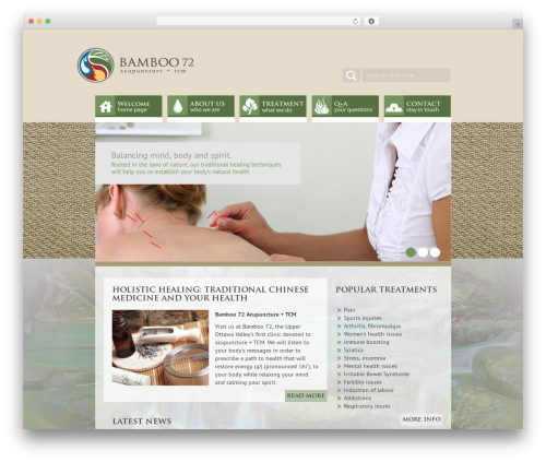 Evolution WordPress store theme - bamboo72.com