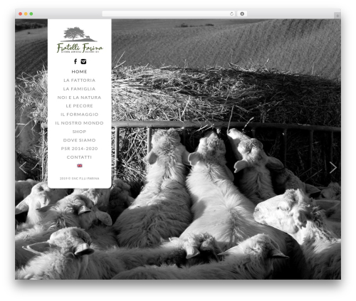 Theme WordPress Vector Responsive WordPress Theme - agricolafratellifarina.it