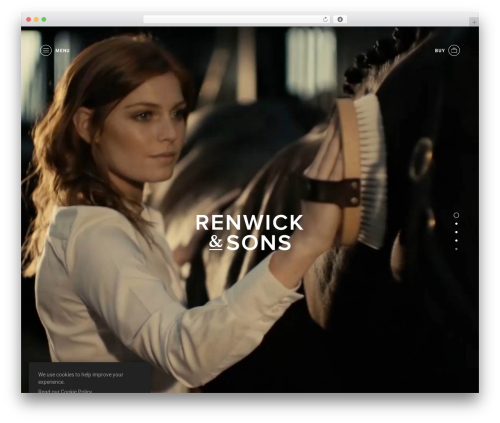 Woocommerce aelia currencyswitcher WordPress plugin - renwickandsons.co.uk