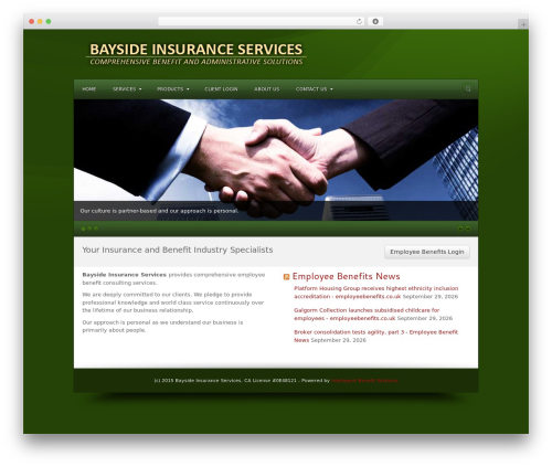 WP theme Commodore - baysideins.com