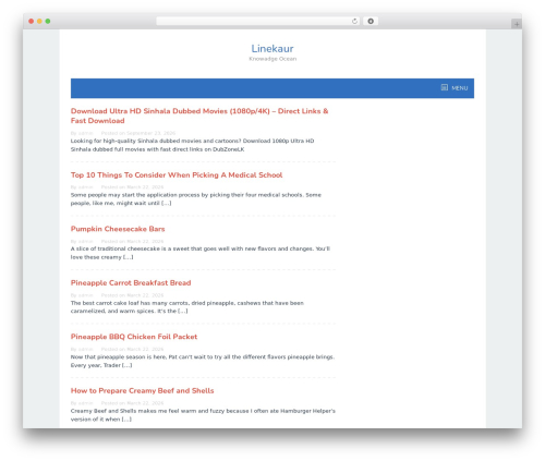 Superfast WordPress theme - linekaur.com