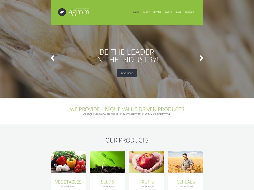 Theme WordPress theme49547 Theme WordPress theme49547