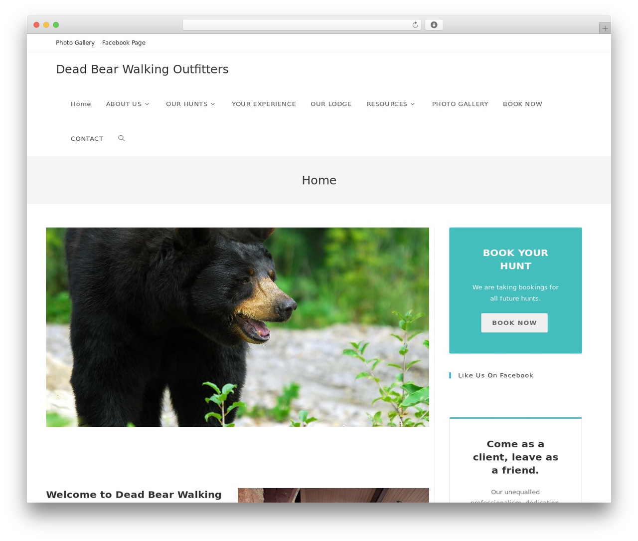 WordPress theme OceanWP - deadbearwalking.com WordPress theme OceanWP - deadbearwalking.com
