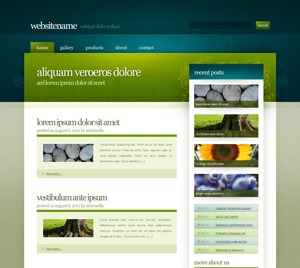 WP00642GR WordPress theme