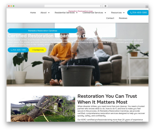 Best WordPress theme Hello Elementor - remedics.com