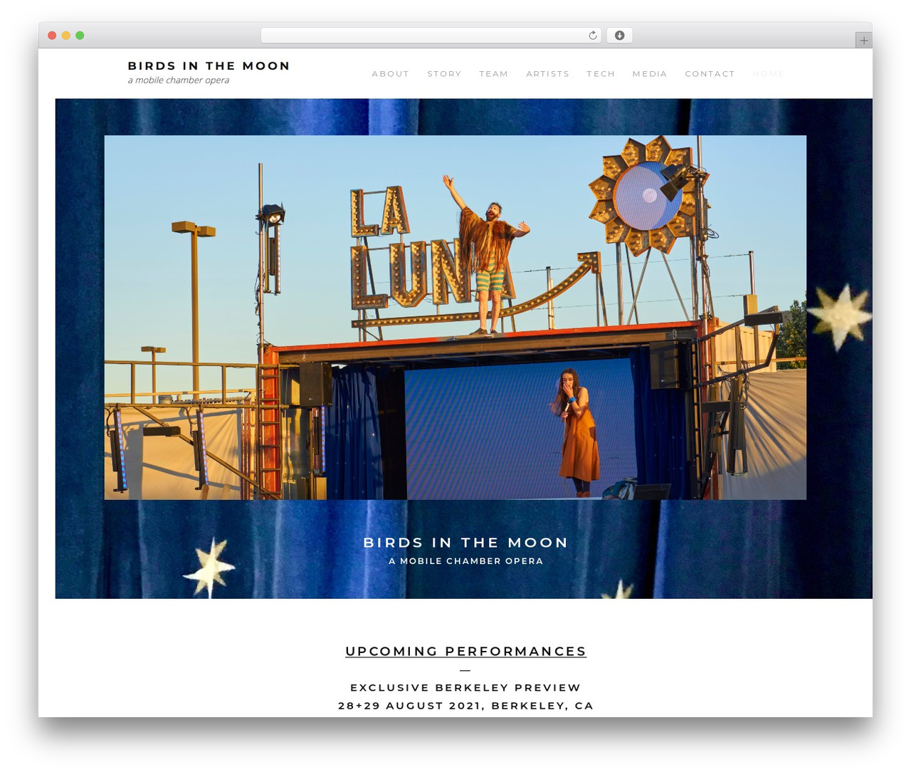 Definity WordPress theme - birdsinthemoon.org