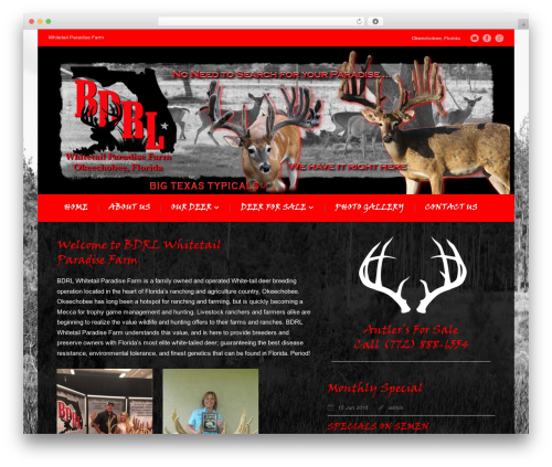 Mega Project WordPress theme - bdrlwhitetails.com