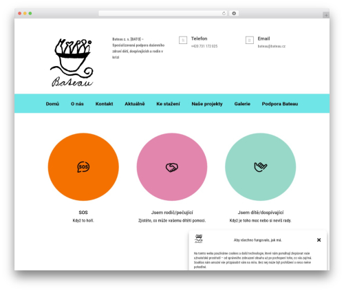 WordPress theme Divi - bateau.cz