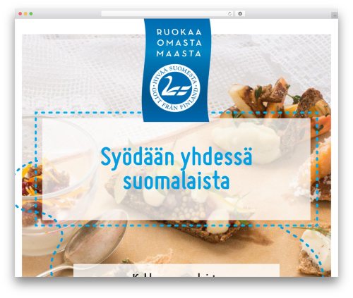 WordPress theme SuperApp basic teema - xn--hyvyhdesshyvsuomesta-dzbagda.fi