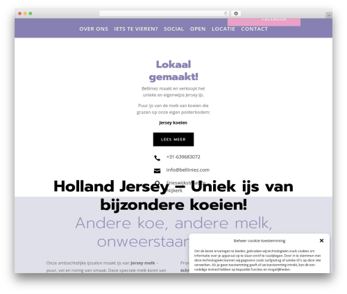 WordPress theme customDivi - belliniez.com