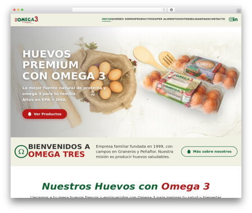 WordPress theme 