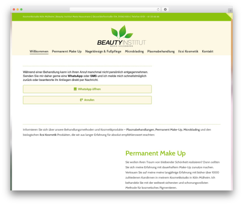 X WordPress theme - beauty-institut.net