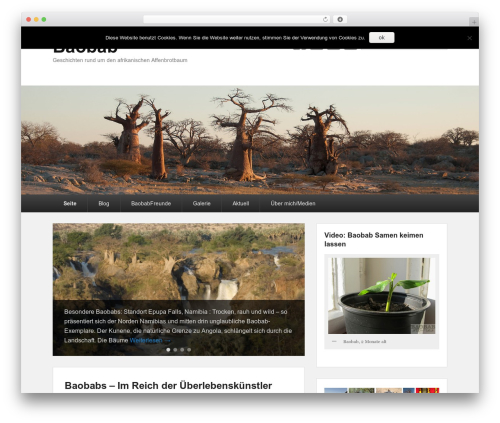 Catch Evolution free WordPress theme - baobabstories.com