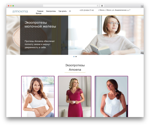 Sim theme WordPress - xn--80aao1age.xn--90ais