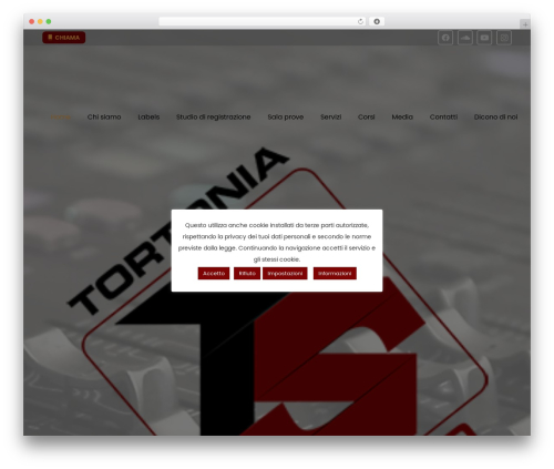 codex WordPress theme - tortoniastudio.com