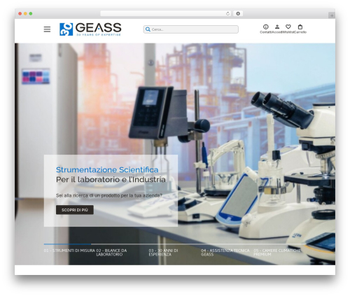 GBS WordPress theme - geass.com