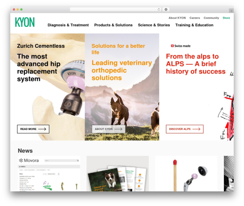 Tp add on automatic language detection WordPress plugin - kyon.ch