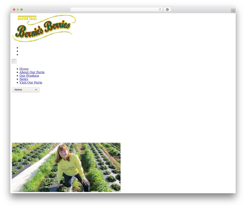 Seafresh WordPress theme - berniesberries.com