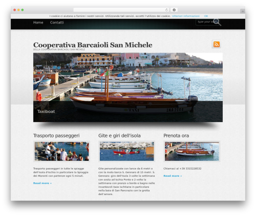Theme WordPress Boldy - barcaioli.it