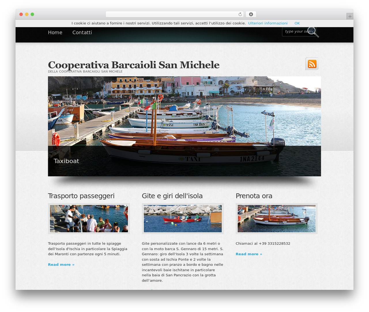 Theme WordPress Boldy - barcaioli.it