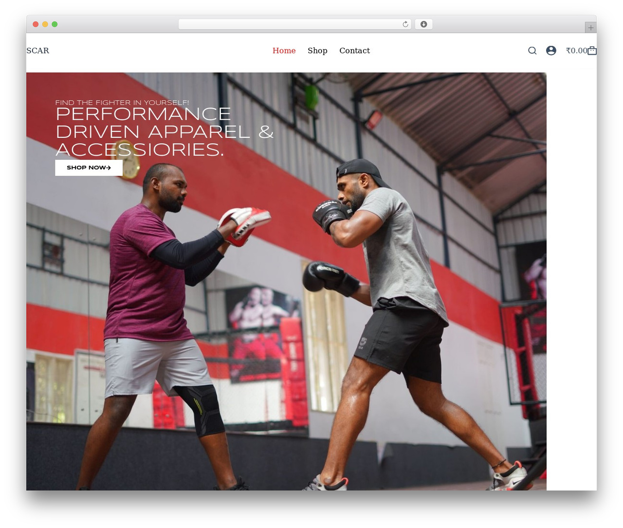 Blocksy WordPress store theme - scarindia.com