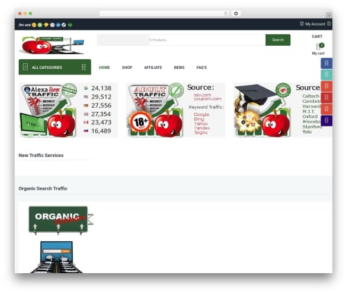 Complex WordPress website theme - organic-traffic.net