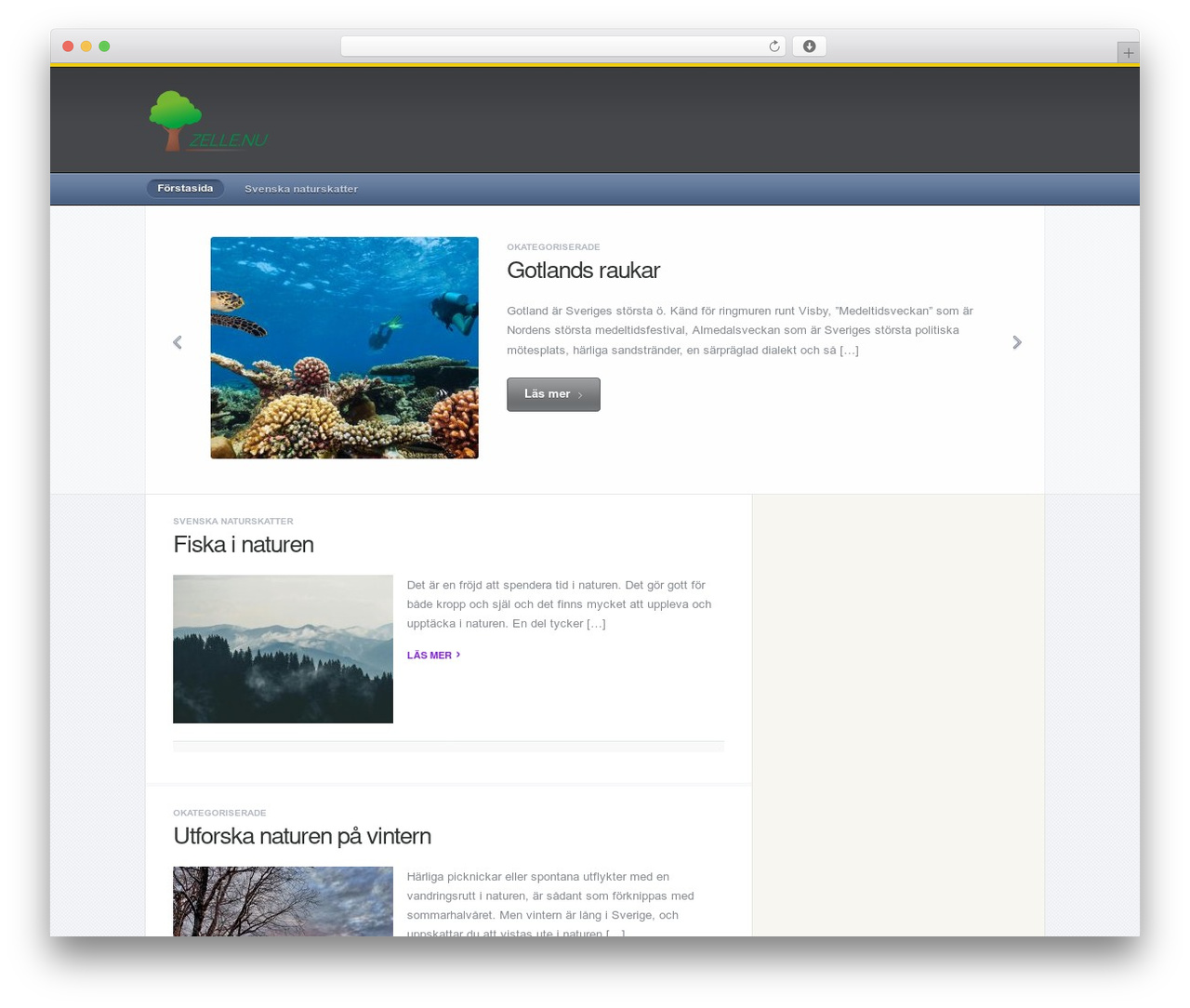 TechCompass WordPress theme - zelle.nu TechCompass WordPress theme - zelle.nu