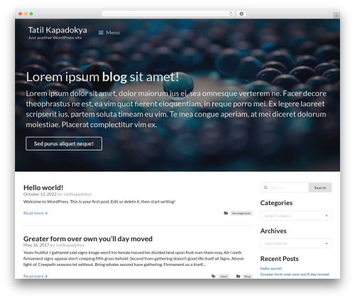 Gutenberg sui WordPress plugin - tatilkapadokya.com