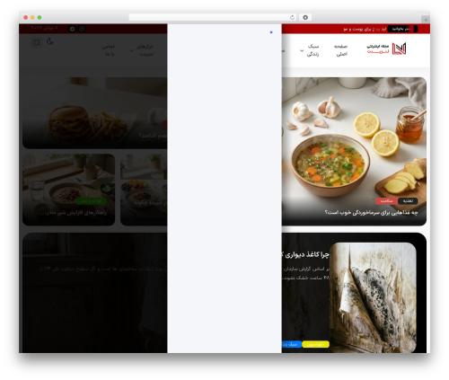 WordPress theme هاریکا - lenzinet.com