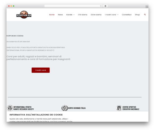 ChatBot  (chatbot) free WordPress plugin - karate-cesena.it