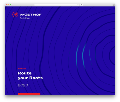 CodeEditing. best WordPress theme - wusthof-academy.com
