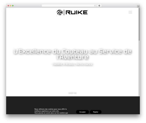 CSI - css excluded WordPress theme - ruikeknives.ch