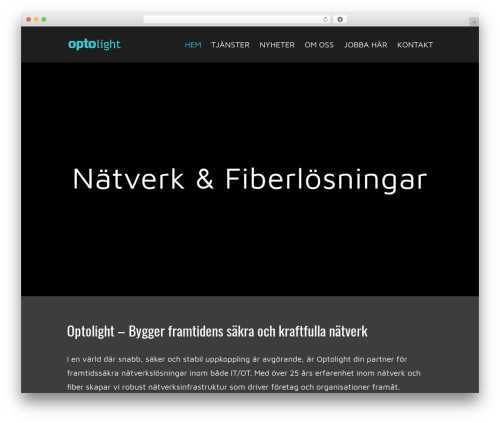 Cf7 styler for divi premium WordPress plugin - optolight.se