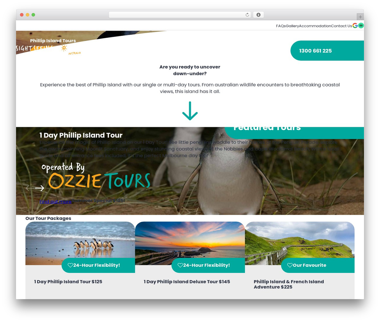 SSTA Theme WordPress theme - phillipislandtour.com.au