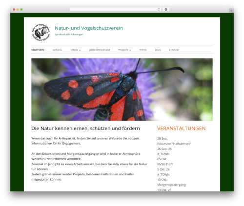 Tiny Framework theme WordPress - nvsk.ch