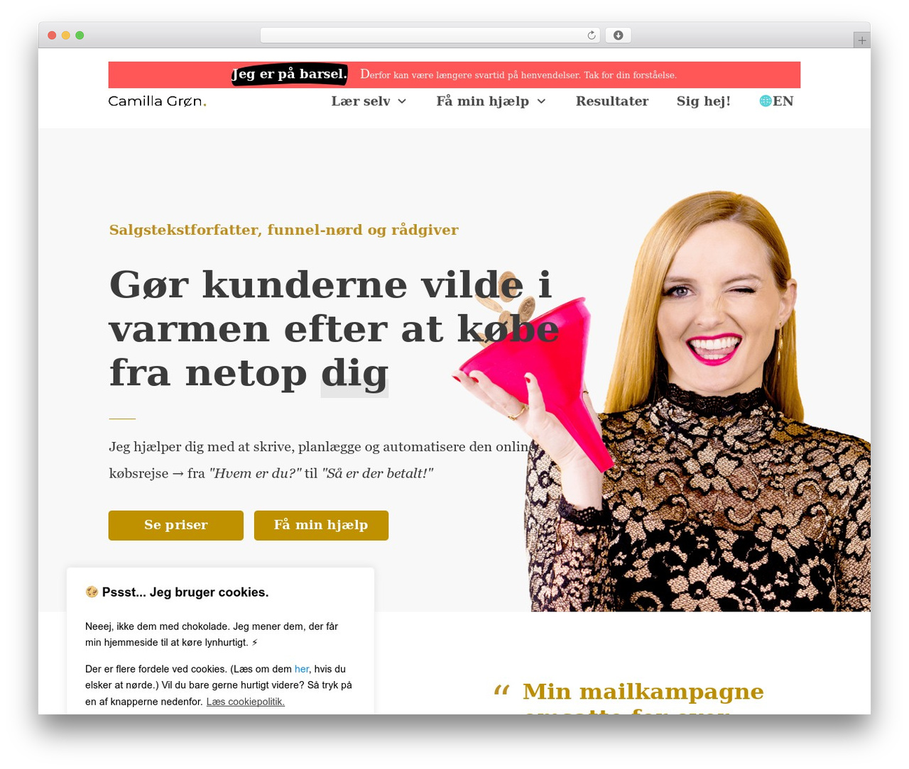 WordPress theme Thrive Theme Builder - camillagroen.com WordPress theme Thrive Theme Builder - camillagroen.com