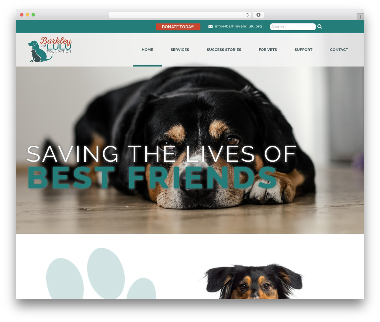 XCode theme WordPress - barkleyandlulu.org XCode theme WordPress - barkleyandlulu.org