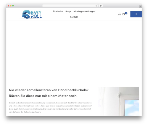 Cize WordPress theme - easyroll.ch