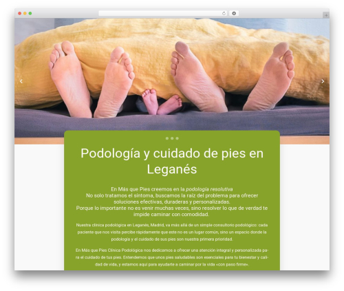 Constructor WordPress theme design - masquepies.es