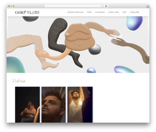 Tco email forms WordPress plugin - corpfluid.ro