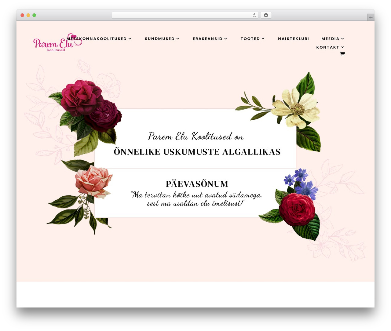 WordPress theme Divi - paremelu.ee