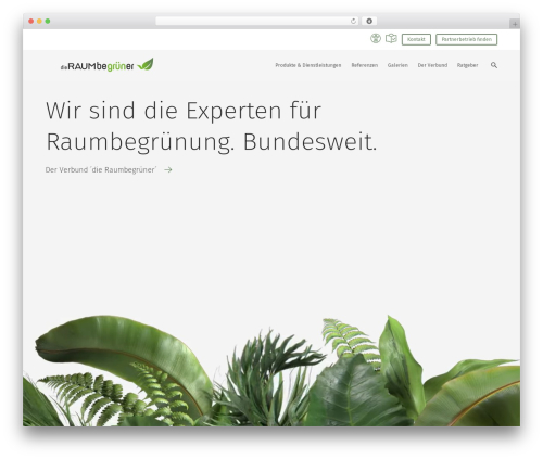 WordPress theme Norules Master Theme - dieraumbegruener.de