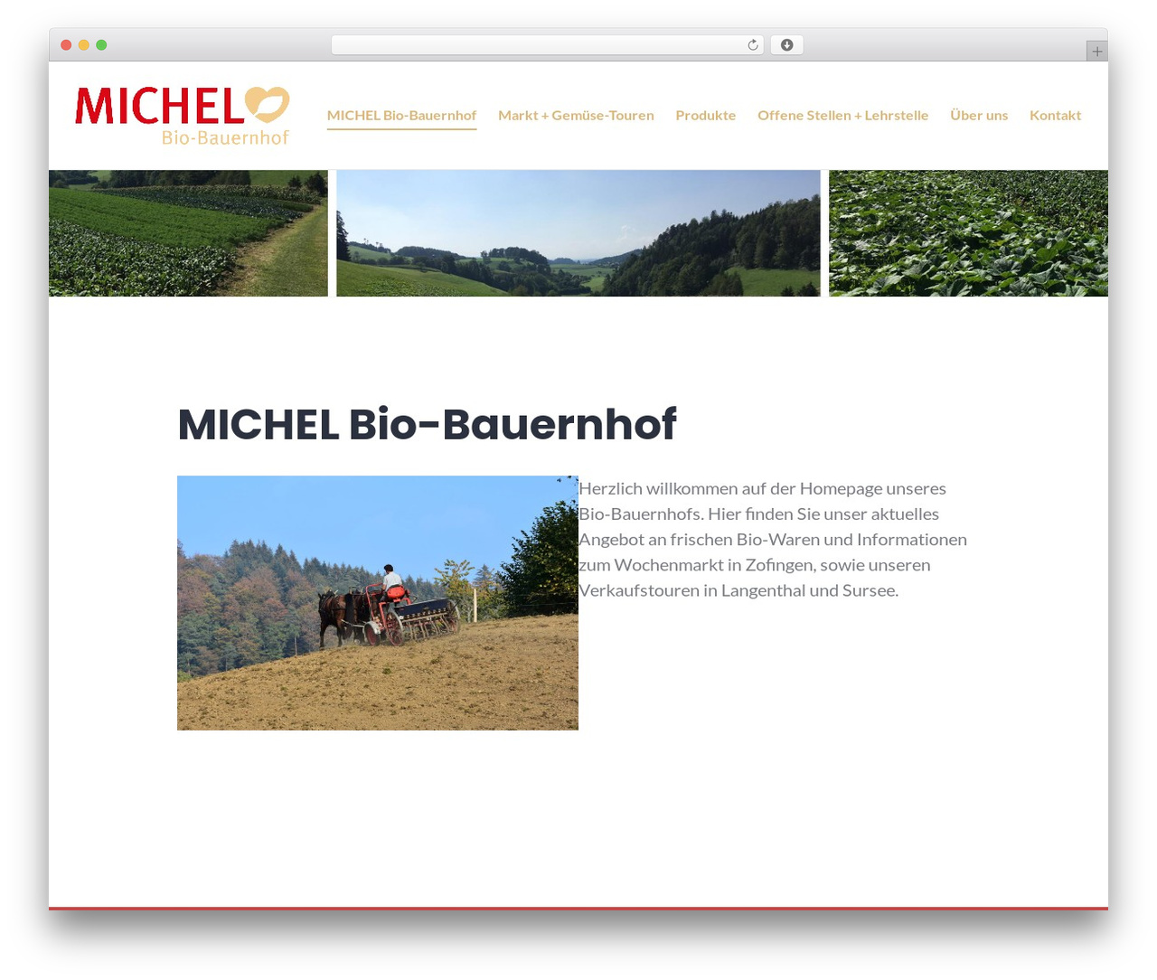 WordPress website theme Stackable - michelbiobauernhof.ch WordPress website theme Stackable - michelbiobauernhof.ch