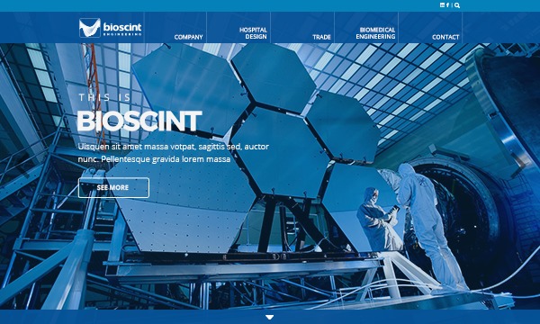 Bioscint WordPress theme by NIU Ltd.
