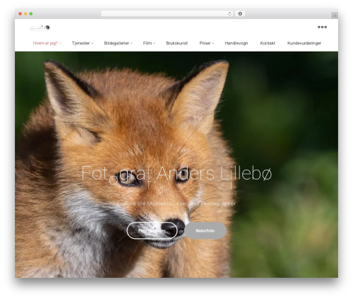 Video Gallery Block – Display your videos as gallery in a professional way (video-gallery-block) free WordPress plugin - anderslillebo.no Video Gallery Block – Display your videos as gallery in a professional way (video-gallery-block) free WordPress plugin - anderslillebo.no