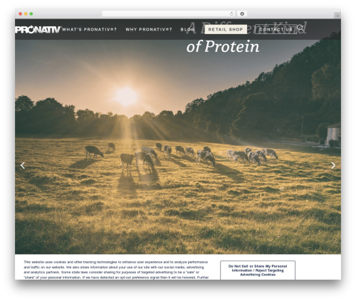 DDesign WordPress theme - pronativ.com